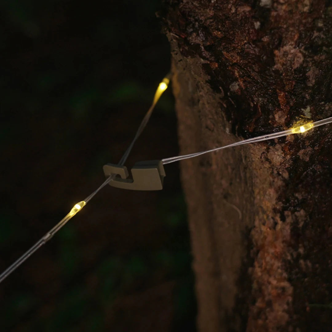 Cordão de luz Campify preso ao tronco de uma árvore